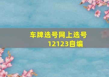 车牌选号网上选号 12123自编